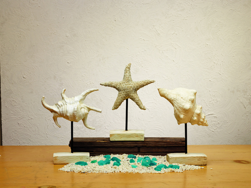 Shells & Starfish Tabletop Decor Set